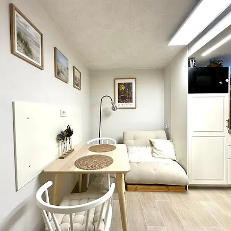 New Comfortable And Cute One-room Of 33 M2 公寓 卢布尔雅那