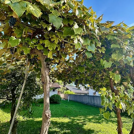 Apartment New Comfortable And Cute One-room Of 33 M2 Ljubljana