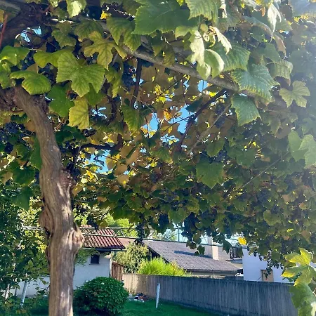 New Comfortable And Cute One-room Of 33 M2 Lubiana