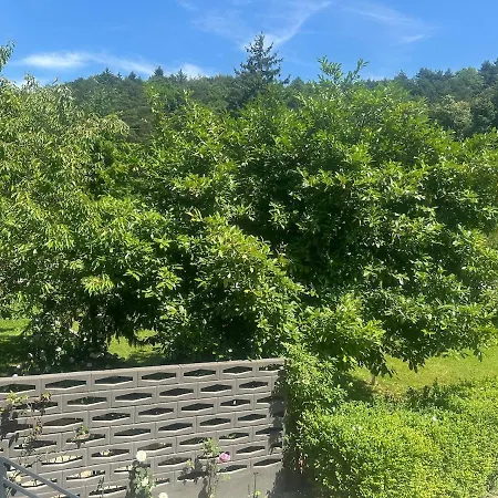 New Comfortable And Cute One-room Of 33 M2 *