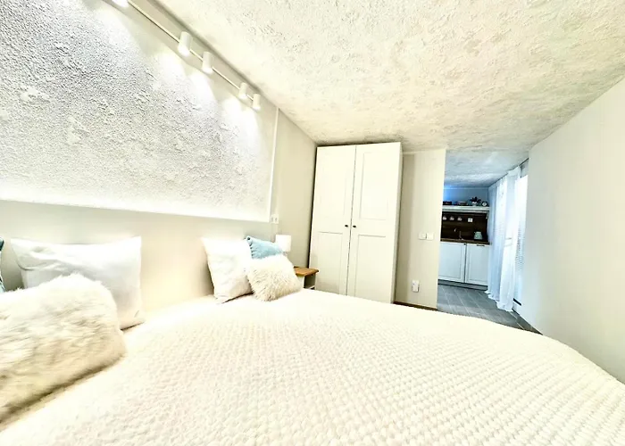 Lägenhet New Comfortable And Cute One-room Of 33 M2 Ljubljana